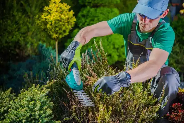 landscaping services Clarence Center